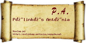 Pálinkás Antónia névjegykártya